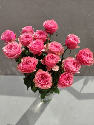 Пионовидная роза "Victorian secret" 50см