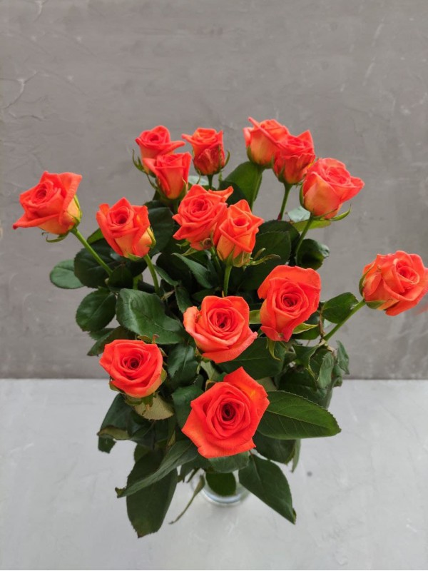 Роза Оранжевая "Naranga"