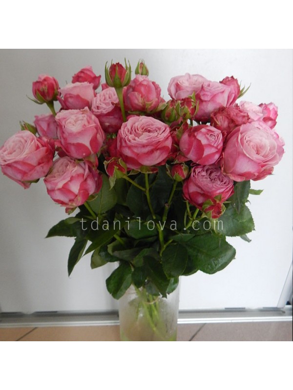Розовые розы Бумбастик
