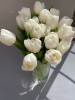 Тюльпан белый пион
